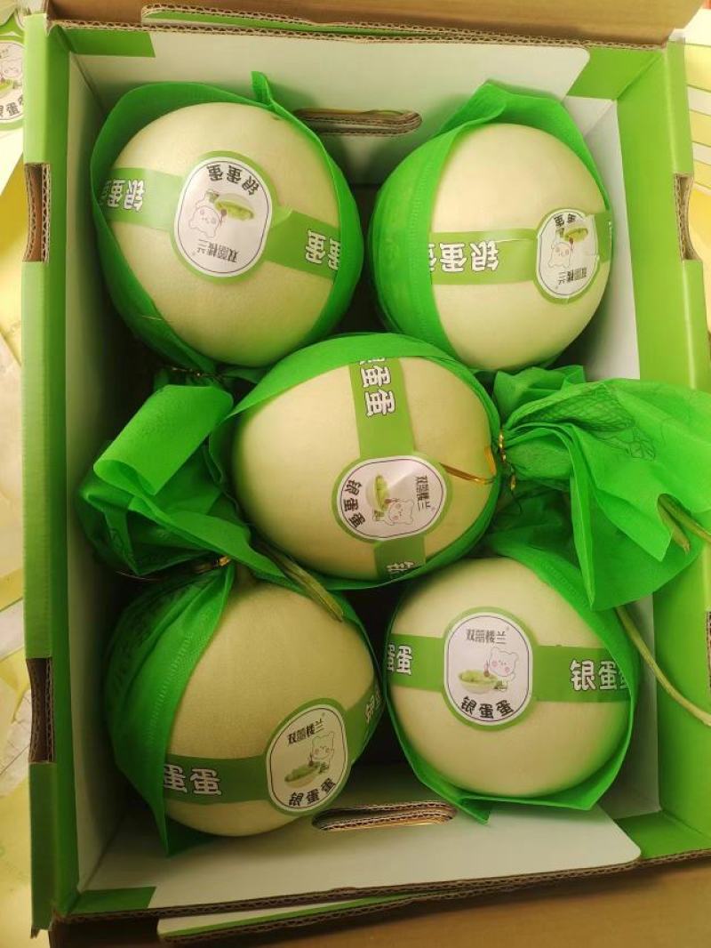 【推荐】山东玉菇甜瓜供应市场商超一手货源保质保量