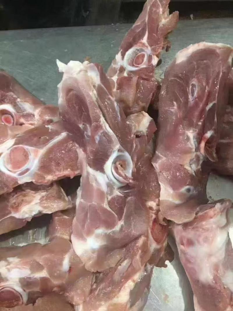 满肉尾叉骨