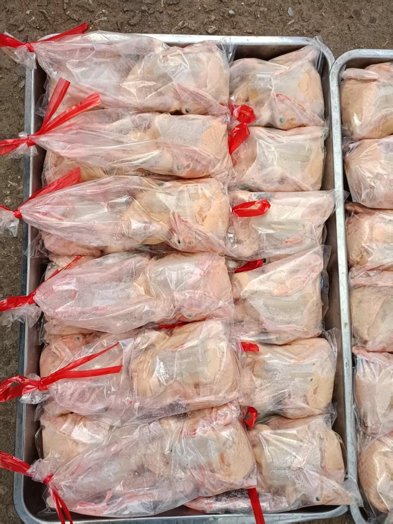 冰鲜乳鸽速冻乳鸽源头发货饭店批发商烧烤鸽胗常年稳定供应