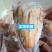 冰鲜乳鸽速冻乳鸽源头发货饭店批发商烧烤鸽胗常年稳定供应