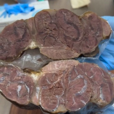 熟牛腱子，满满的腱子筋，酱卤五香口味，口味非常好，真空独