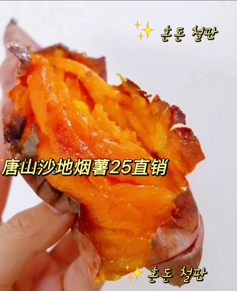 唐山沙地双膜烟薯25，七月中旬大量供应