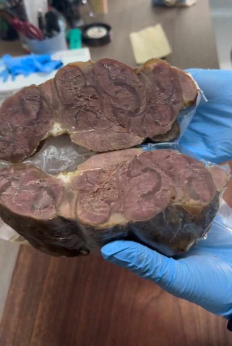 熟牛腱子，满满的腱子筋，酱卤五香口味，口味非常好，真空独