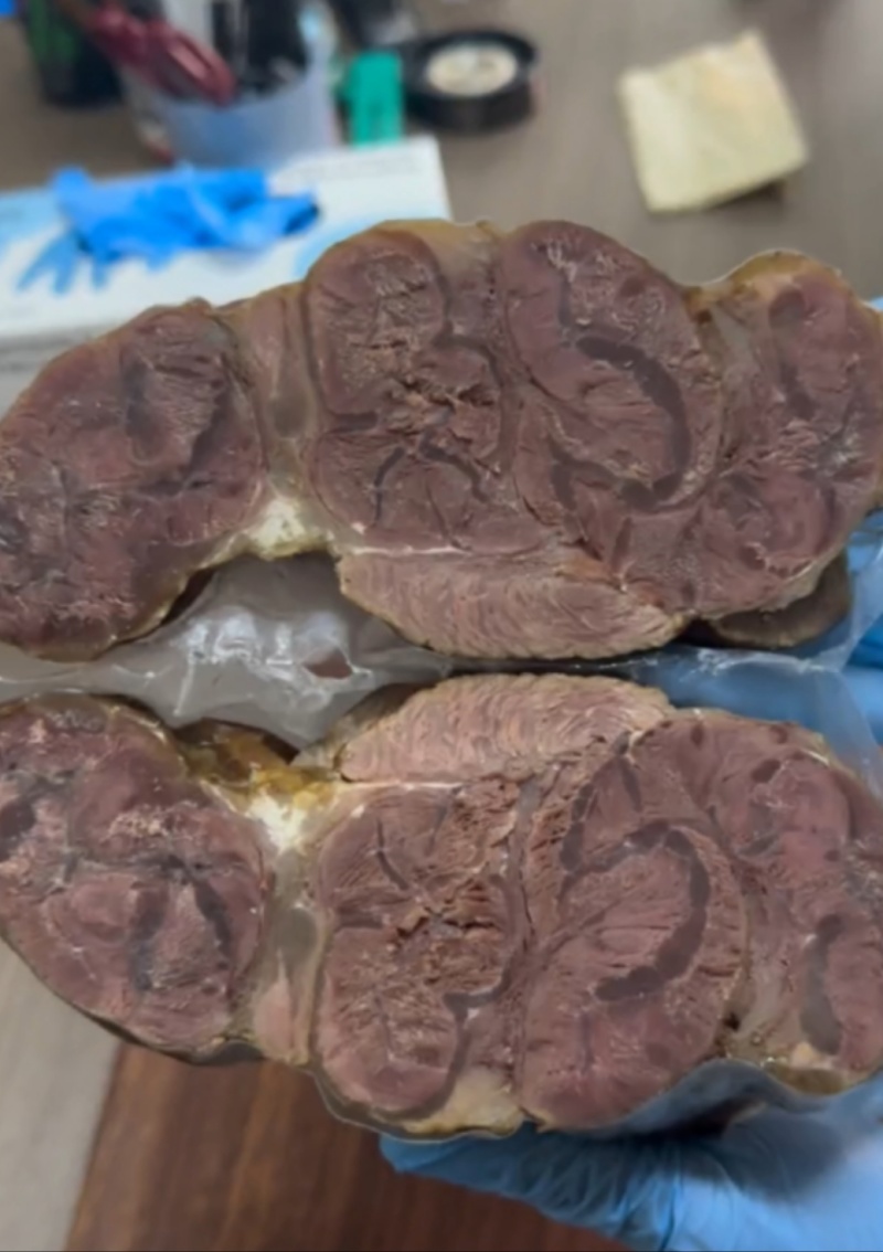熟牛腱子，满满的腱子筋，酱卤五香口味，口味非常好，真空独