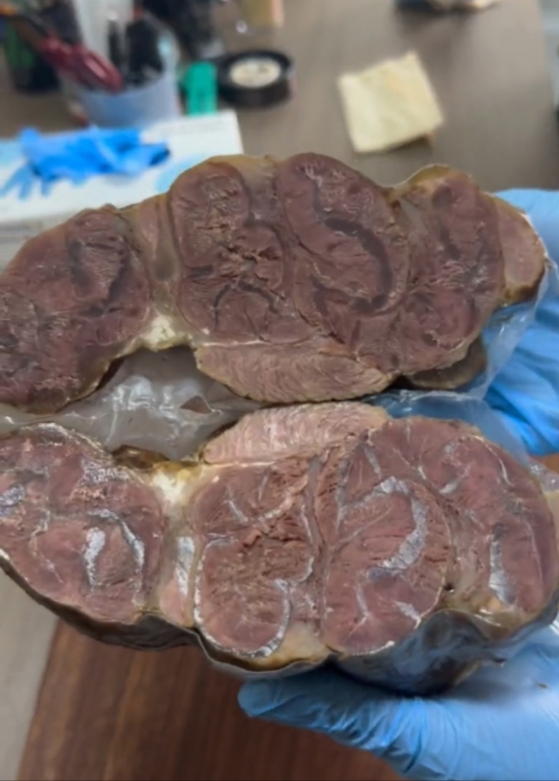 熟牛腱子，满满的腱子筋，酱卤五香口味，口味非常好，真空独