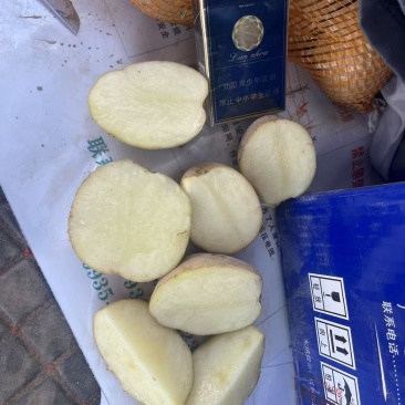 白皮白心大西洋大量现货产地直发