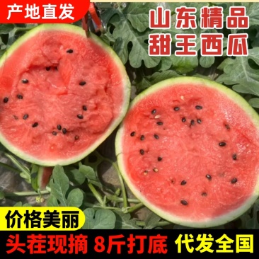 济宁头茬甜王西瓜大棚西瓜甜度13+产地一手货源欢迎咨询