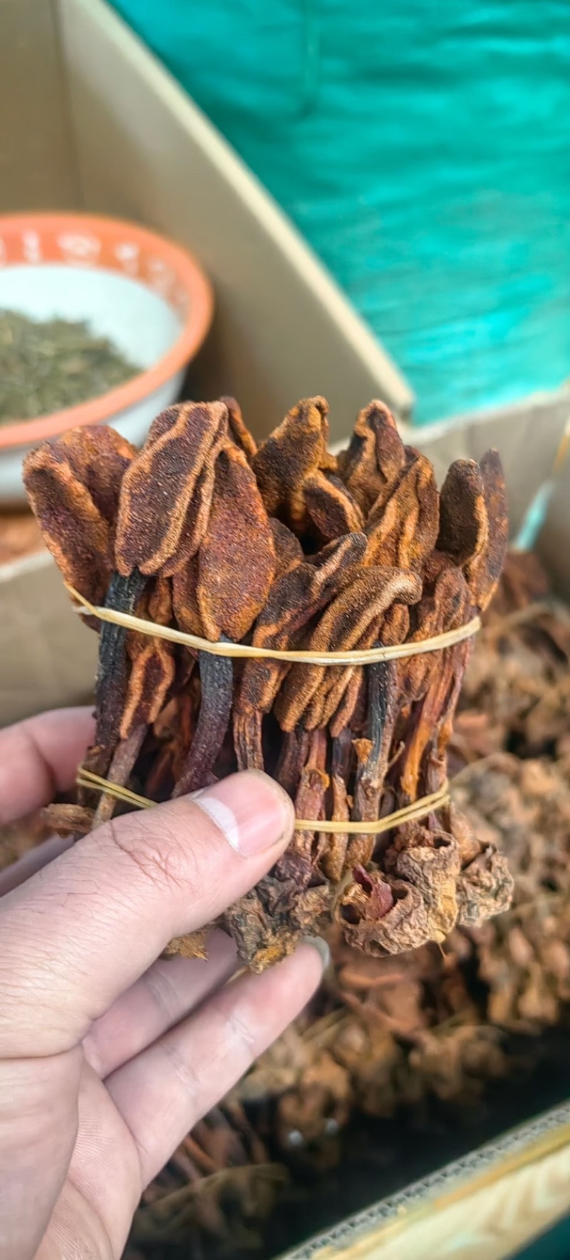 回春草云南回春草常年大货供应