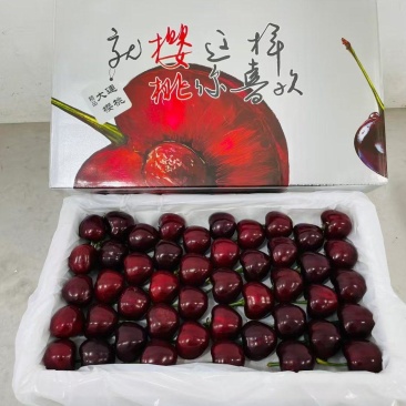 山东樱桃美早大樱桃产地直销
