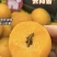 山西金太阳杏大量上市每日供货，品质保证售后无忧可直接联系