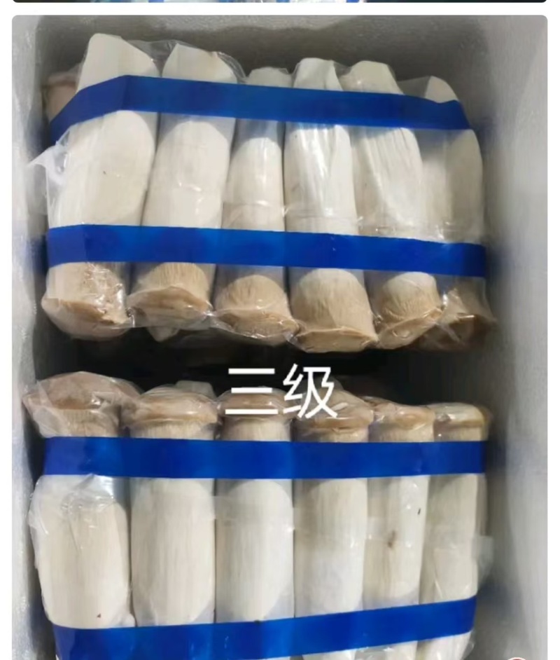 【实力】江苏连云港杏鲍菇菇片次菇产地直销量大从优可视频