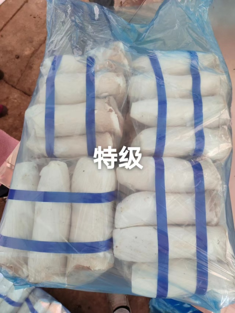 【实力】江苏连云港杏鲍菇菇片次菇产地直销量大从优可视频
