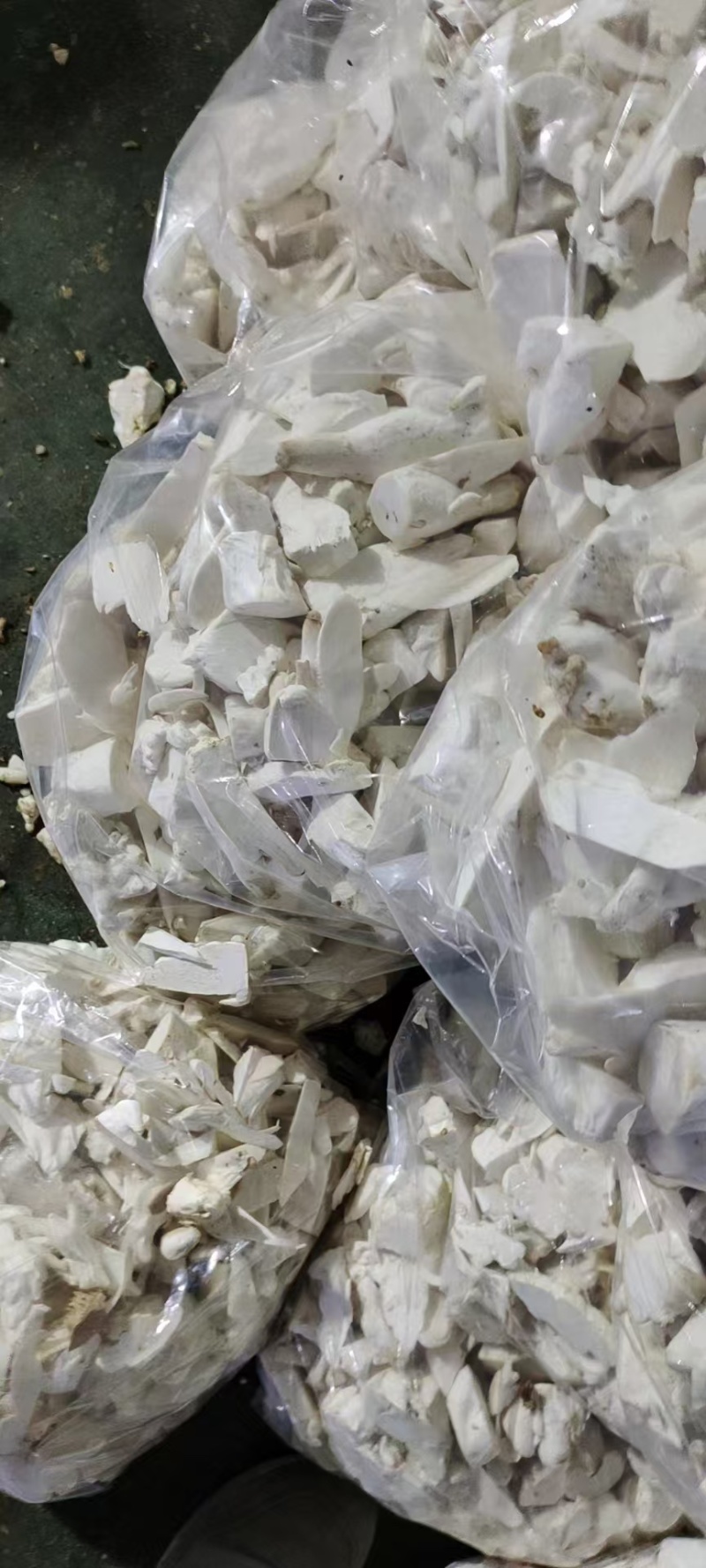 【实力】江苏连云港杏鲍菇菇片次菇产地直销量大从优可视频