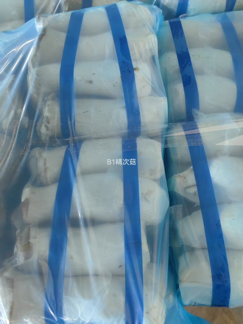 【实力】江苏连云港杏鲍菇菇片次菇产地直销量大从优可视频