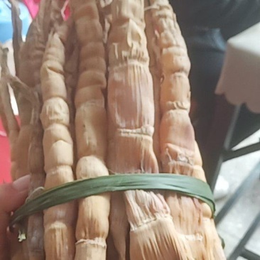 笋干