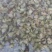 微山湖淡水螺蛳，大量现货新鲜包活到家