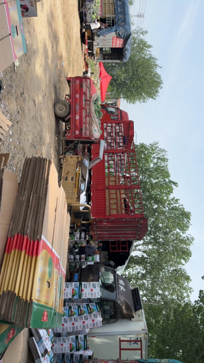 河南夏邑美都西瓜二茬精品美都西瓜大量供应市场商超