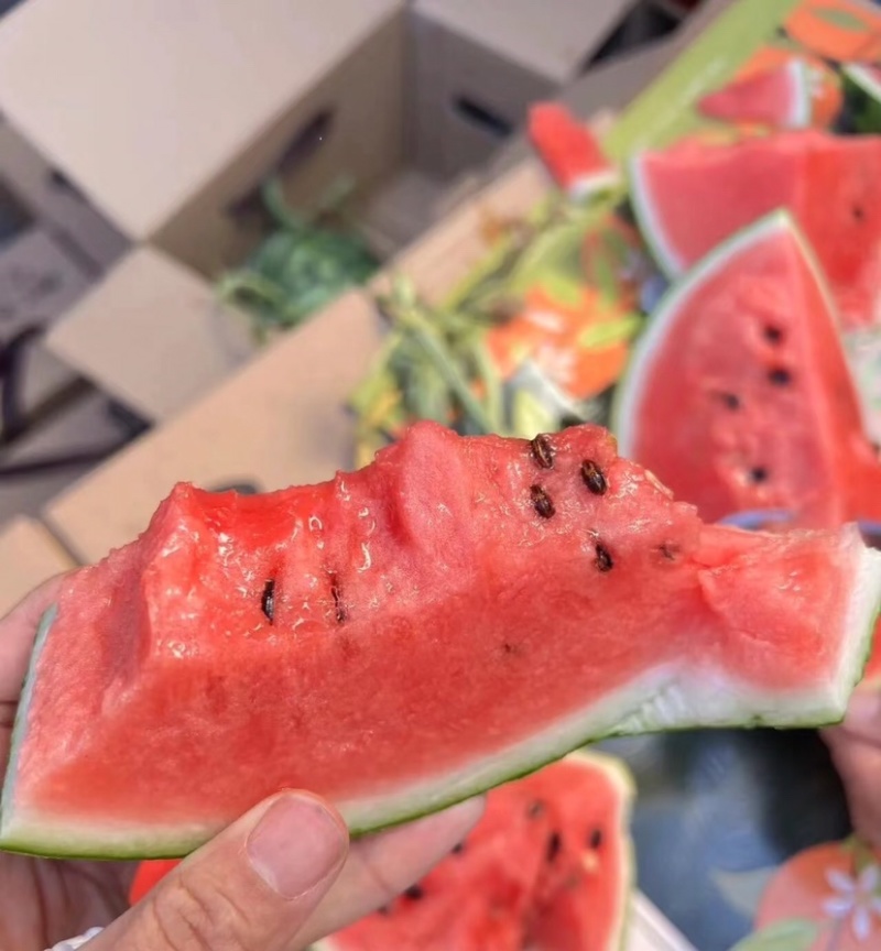 麒麟西瓜精品西瓜皮薄多汁现摘现发供应市场电商商超