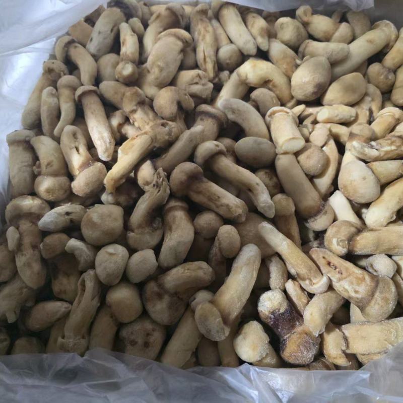 冰冻松茸5-7规格甩卖