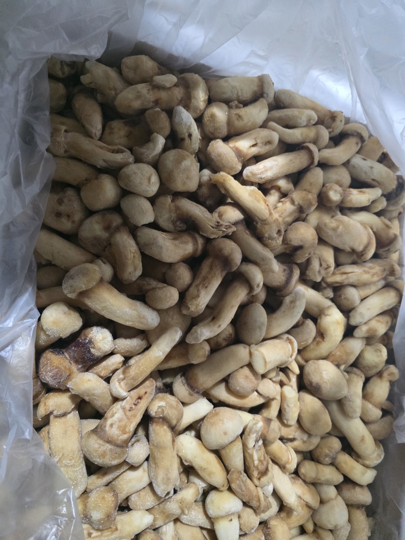 冰冻松茸5-7规格甩卖