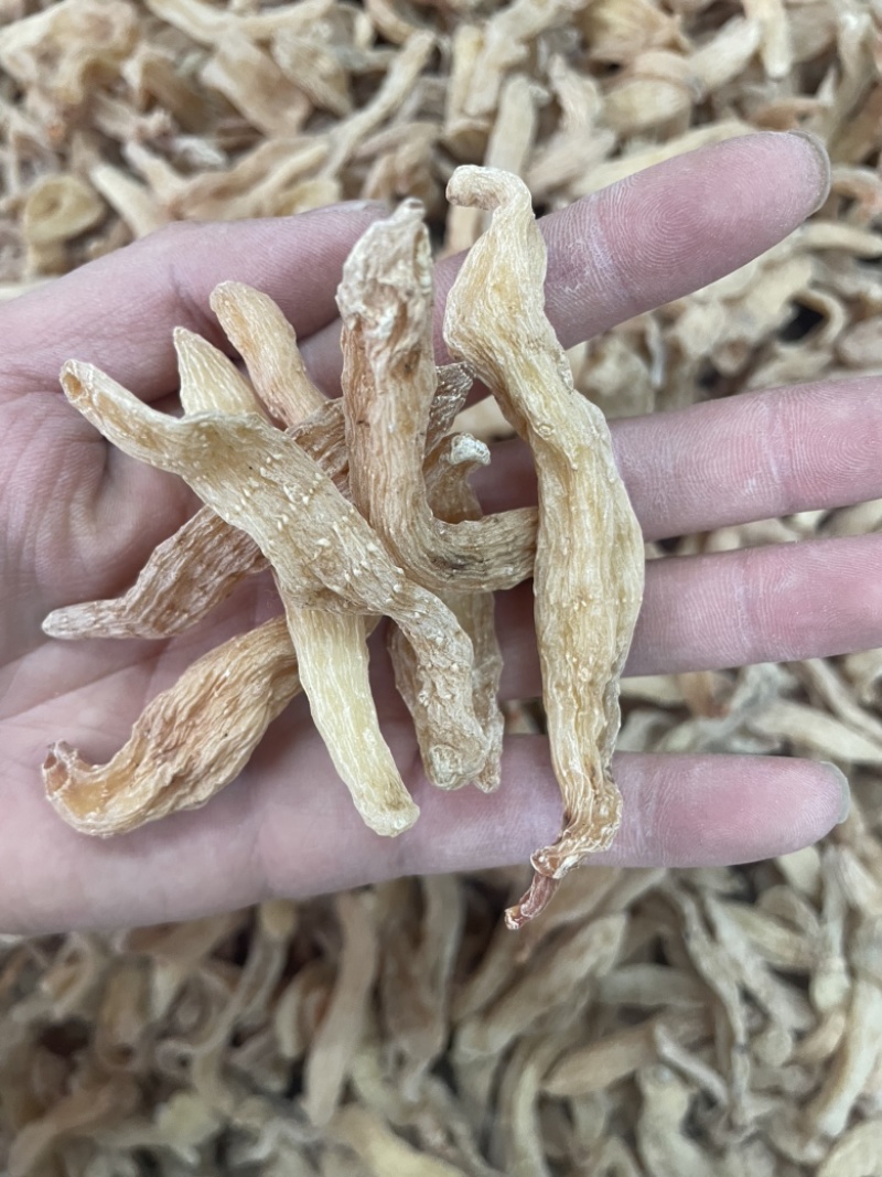 小天麻大货批发湖北天麻昭通天麻批发四级麻