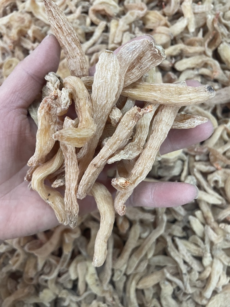 小天麻大货批发湖北天麻昭通天麻批发四级麻
