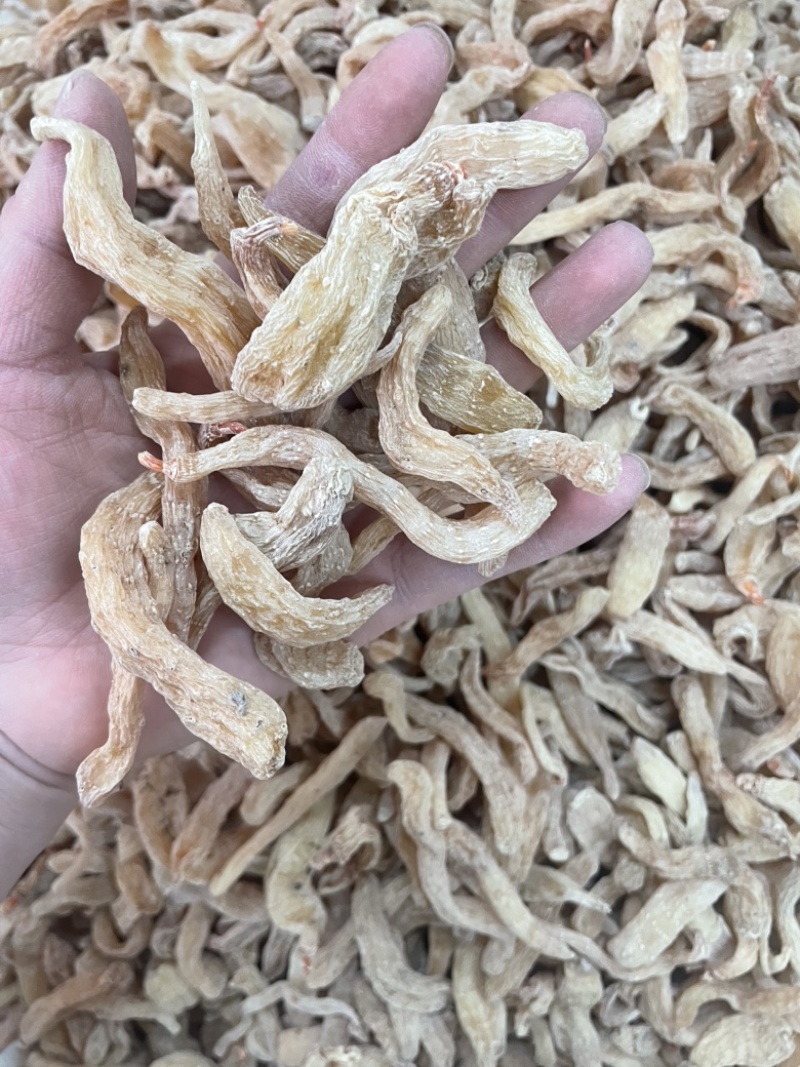小天麻大货批发湖北天麻昭通天麻批发四级麻