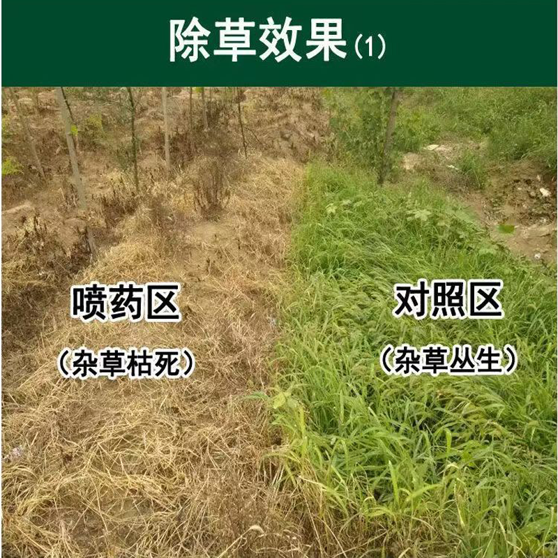 95%草甘膦除草烂根剂杀草剂除杂草正品草甘膦铵盐果园荒地