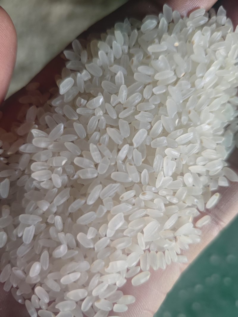 新疆温宿长粒香大米50斤包装产地直发