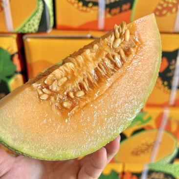 新疆吐鲁番火焰蜜瓜2个装大果6斤/件