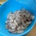 无冰衣新鲜大虾仁海鲜鲜活水产冷冻活虾虾肉生鲜海虾青虾仁虾