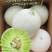 玉菇甜瓜，大量有货，甜度高，价格可谈欢迎新老客户前来合作