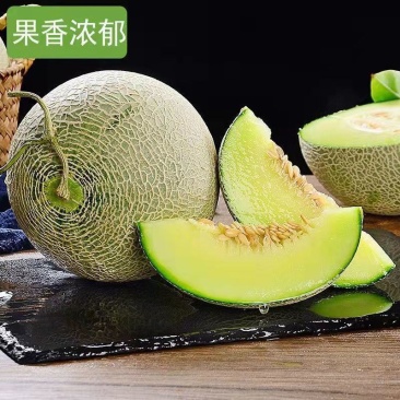 网纹蜜瓜，大量上市，果香浓郁，可视频看货，量大从优欢迎合