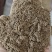 胡麻饼粉，蛋白37个，脂肪12－13个。