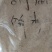 胡麻饼粉，蛋白37个，脂肪12－13个。