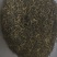 杜仲雄花批发价格