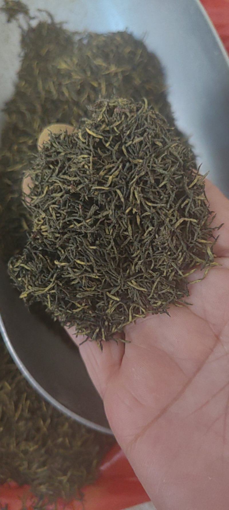 杜仲雄花批发价格