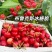 《布鲁克斯冰糖脆》陕西樱桃/自家果园现摘/欢迎来电洽谈