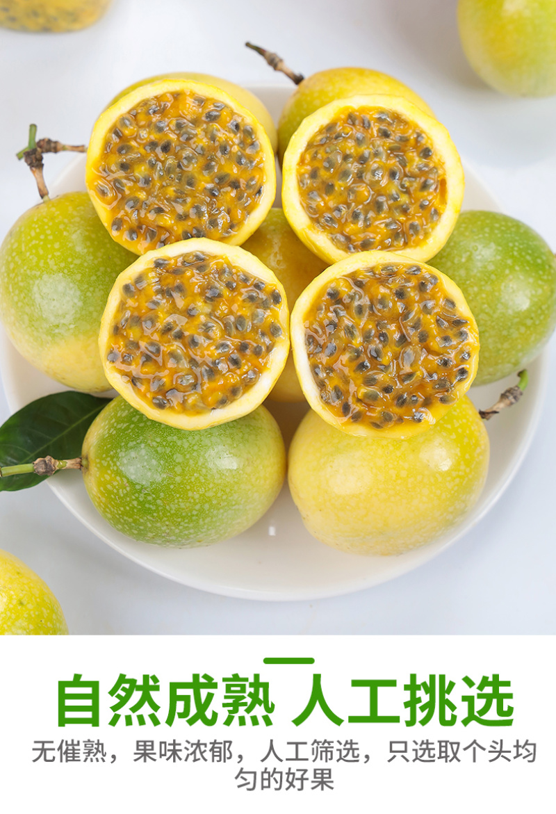 一件代发广西钦蜜9号黄金百香果供应淘宝抖音直播拼多多等