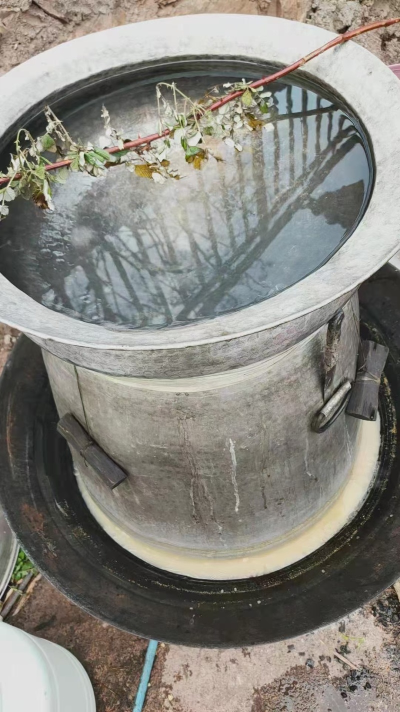 高原青稞酒