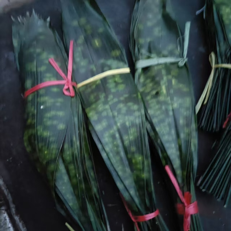 云南粽叶：同花.米花