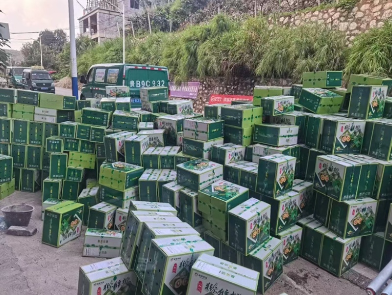 贵州红心猕猴桃猕猴桃水果新鲜水果大量上市