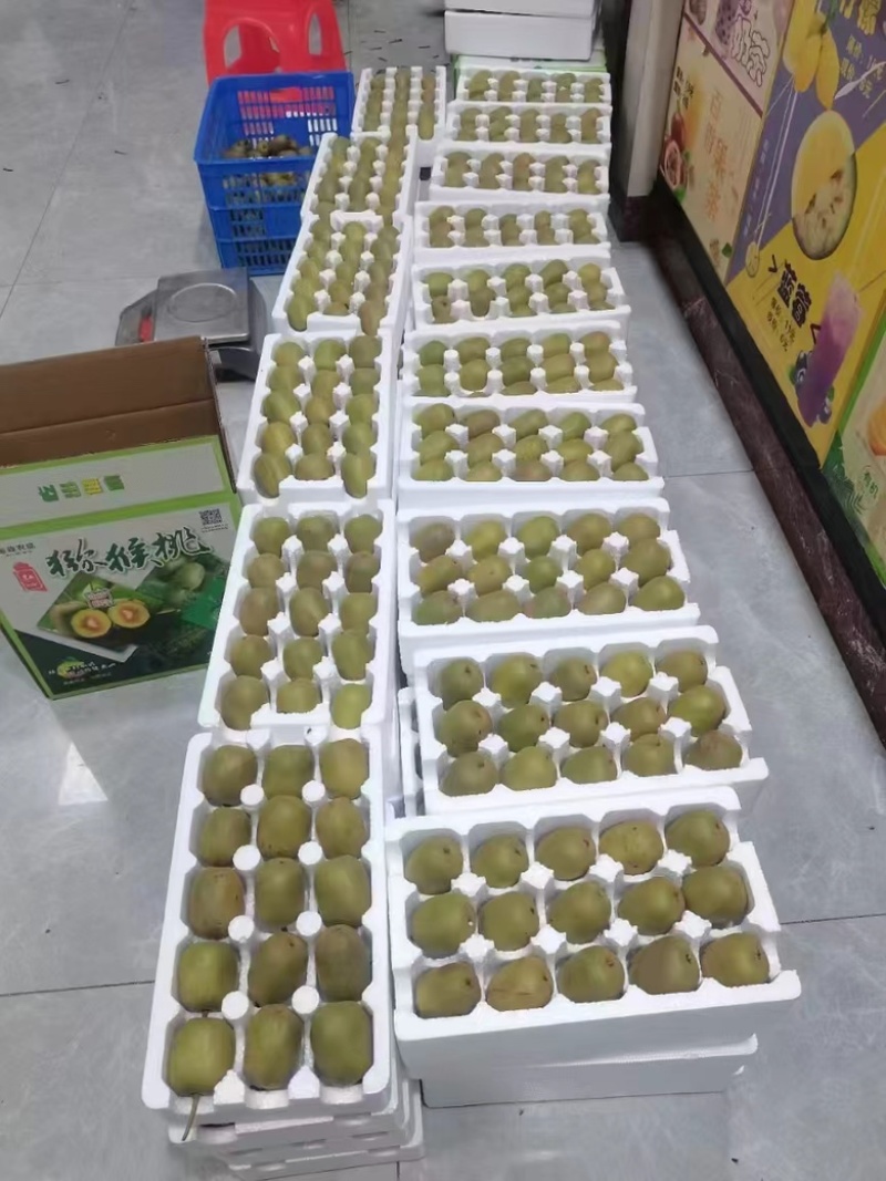 贵州红心猕猴桃猕猴桃水果新鲜水果大量上市