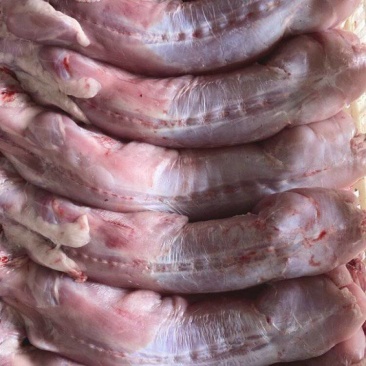 兔肉出售，厂家直销