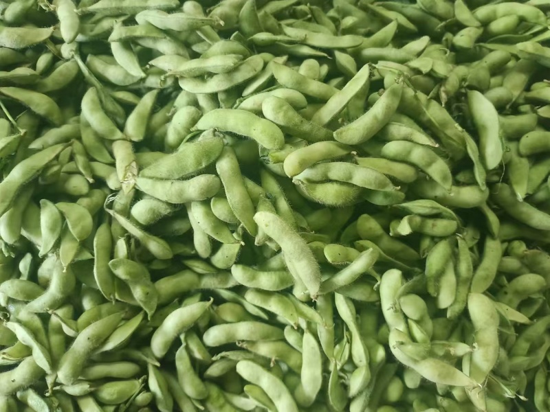 云南豌豆精品豌豆量大价优产地直发一手货源量大价优欢迎致电