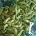 云南豌豆精品豌豆量大价优产地直发一手货源量大价优欢迎致电