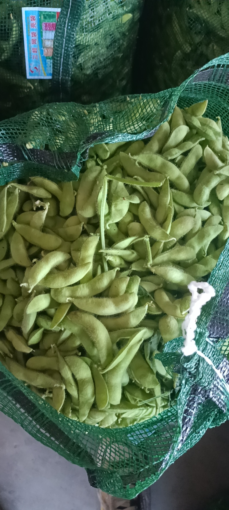 云南豌豆精品豌豆量大价优产地直发一手货源量大价优欢迎致电
