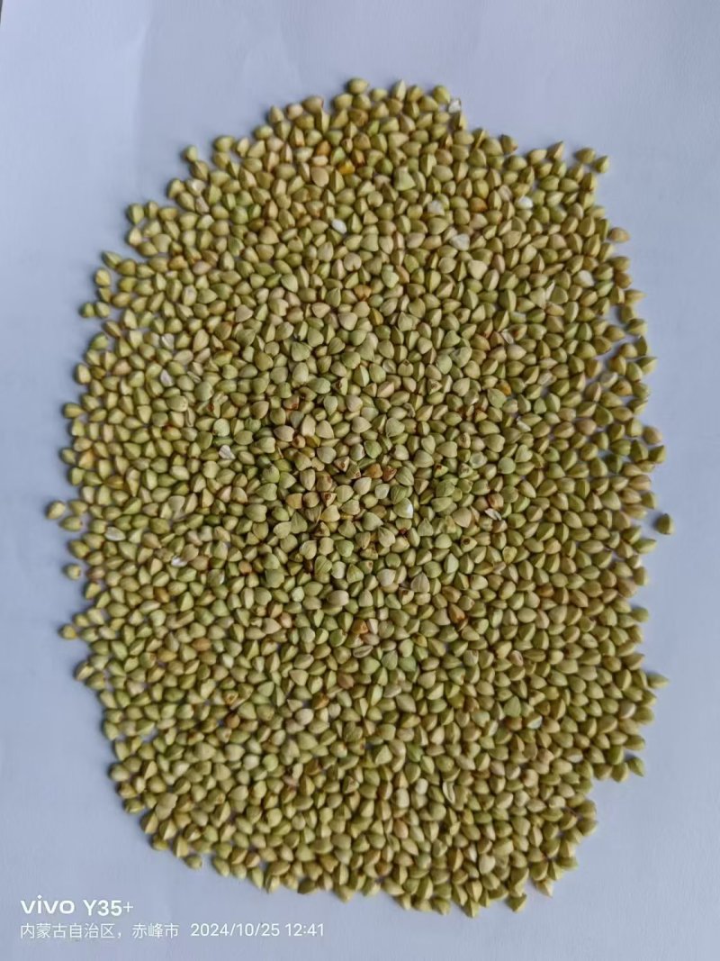 荞麦米