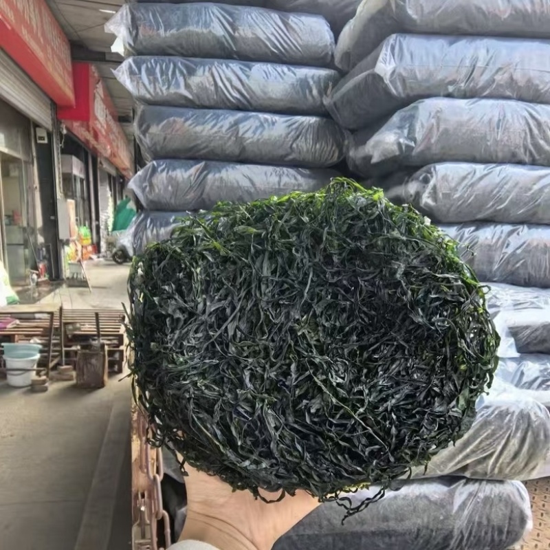 山东烤海带丝地摊电商实体批发烘干海带丝新货批发