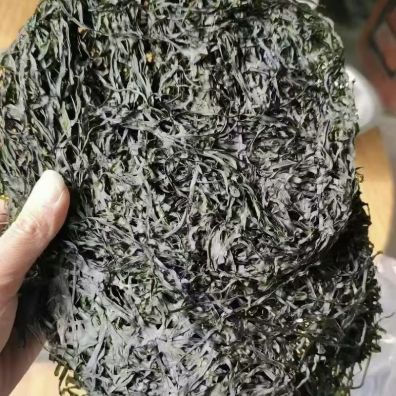 山东烤海带丝地摊电商实体批发烘干海带丝新货批发
